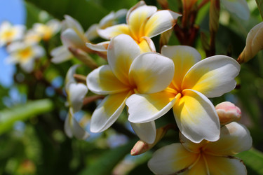 Similar image 21699631