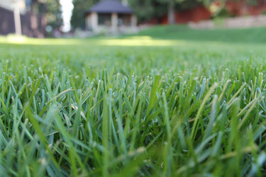 Similar image 21699632