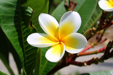 Similar image 21699633