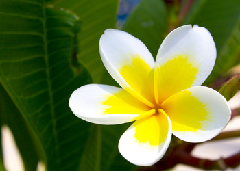 Similar image 21699636