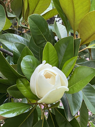 Similar image 21699637