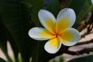 Similar image 21699638