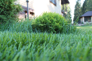 Similar image 21699639