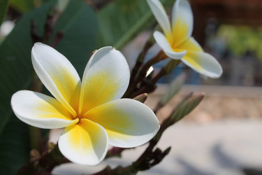 Similar image 21699640