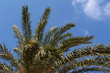 Similar image 21699641