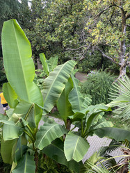 Similar image 21699642