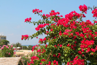 Similar image 21699643