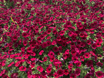 Similar image 21699644