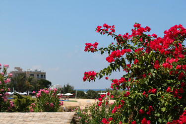 Similar image 21699645