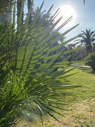 Similar image 21699646