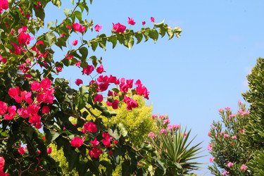 Similar image 21699647