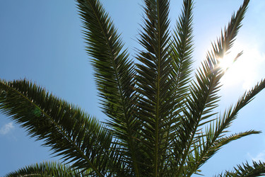 Similar image 21699649