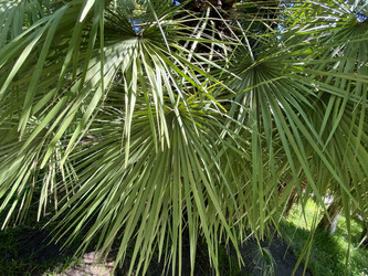 Similar image 21699652