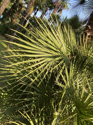 Similar image 21701579