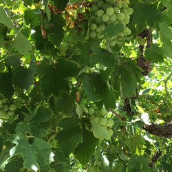 Similar image 21701580