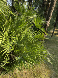 Similar image 21701581