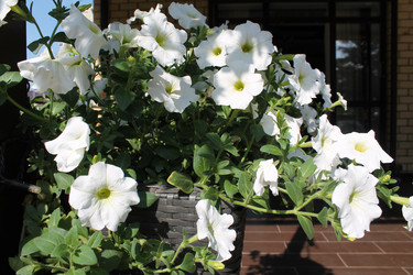 Similar image 21701582