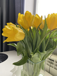 Similar image 21701583