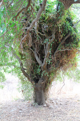 Similar image 21701584