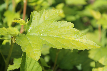 Similar image 21701586