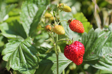 Similar image 21701587