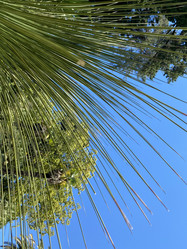 Similar image 21701589