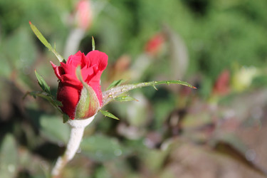 Similar image 21702639