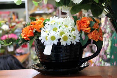 Similar image 21703102