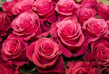 Similar image 21697169