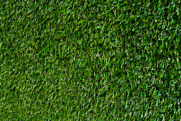 Similar image 21697170