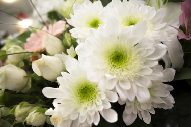 Similar image 21685760