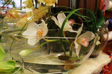 Similar image 21685763