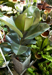 Similar image 21685764