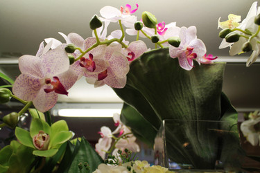 Similar image 21685765