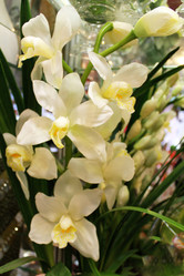 Similar image 21685767