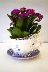 Similar image 21685768