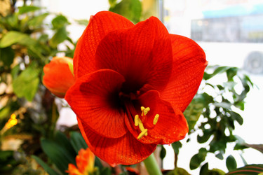 Similar image 21685934