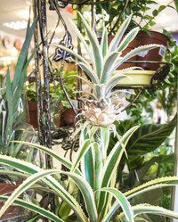 Similar image 21685935