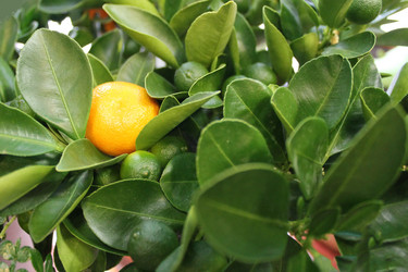 Similar image 21685955