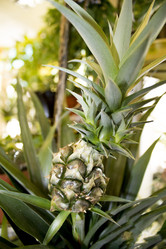 Similar image 21685956