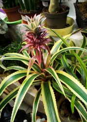 Similar image 21685957