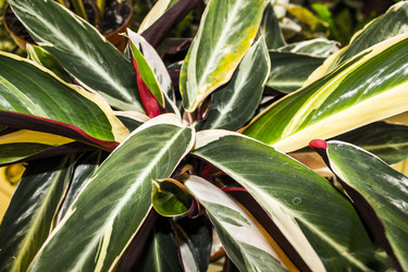 Similar image 21685974