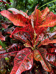 Similar image 21697113