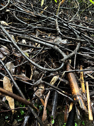 Similar image 21697114