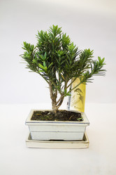 Similar image 21698792