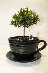 Similar image 21699030