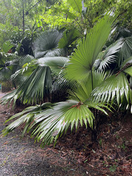 Similar image 21699653