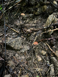 Similar image 21699655