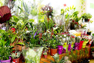 Similar image 21699656