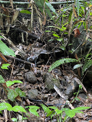 Similar image 21699657